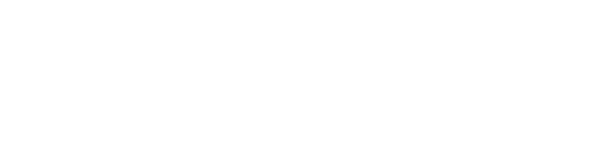 OPINE — Observatorio Permanente de Integridad Electoral